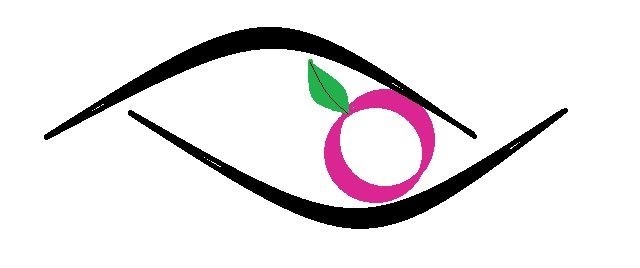 20th Annual Women in Ophthalmology Meeting - New York Chapter Banner